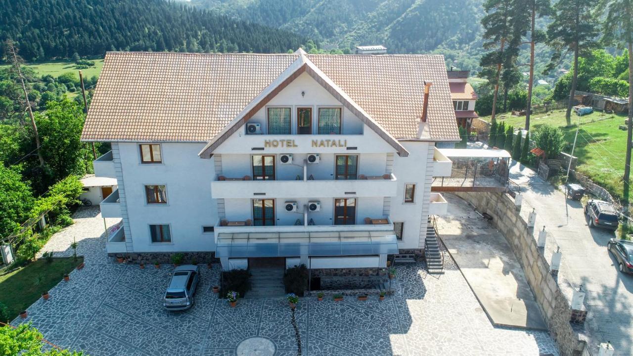 Natali Hotel Bordżomi Zewnętrze zdjęcie