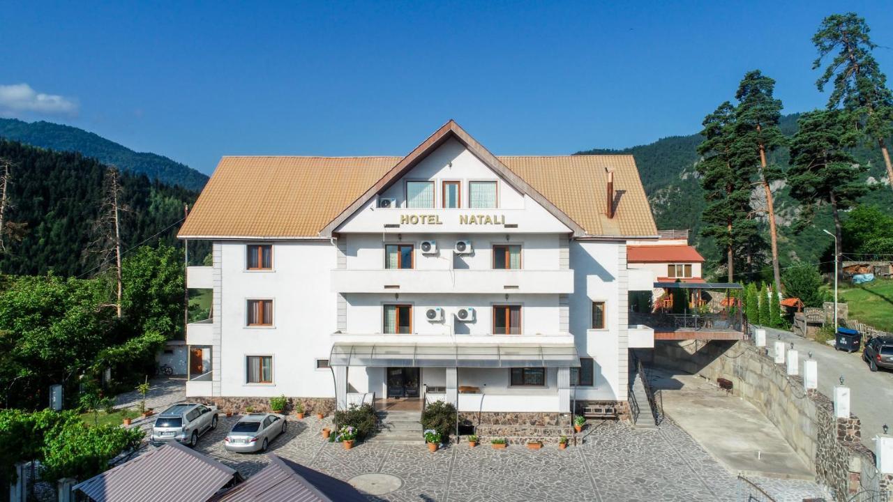 Natali Hotel Bordżomi Zewnętrze zdjęcie
