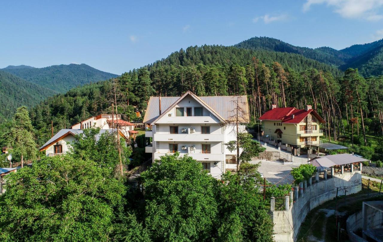 Natali Hotel Bordżomi Zewnętrze zdjęcie