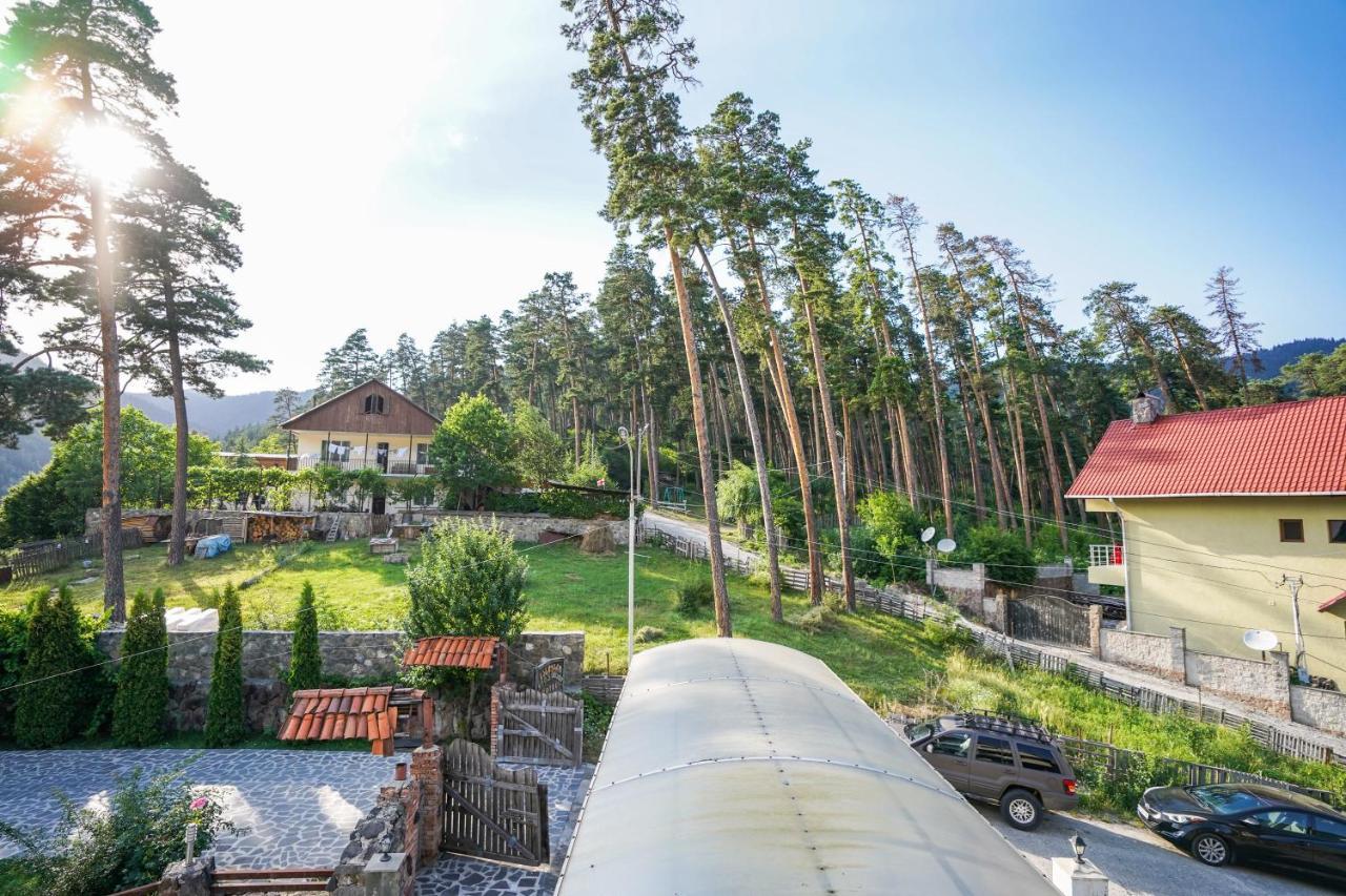 Natali Hotel Bordżomi Zewnętrze zdjęcie