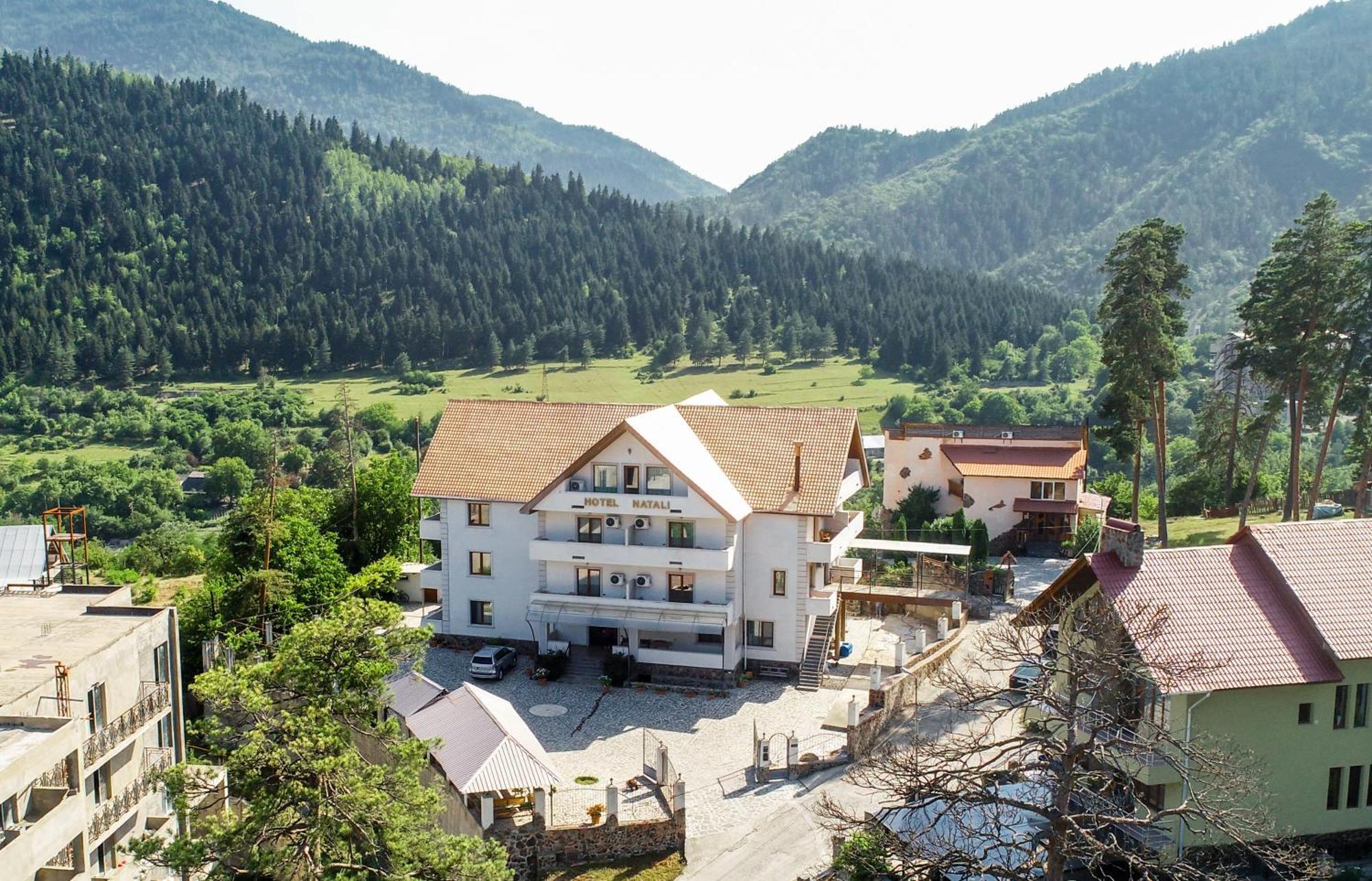 Natali Hotel Bordżomi Zewnętrze zdjęcie